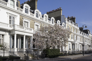 Urban tree: London houses with a magnolia tree.