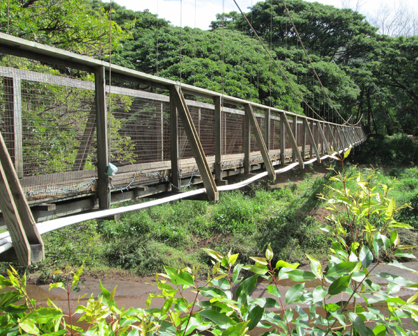 Waimea Swinging Bridge 2