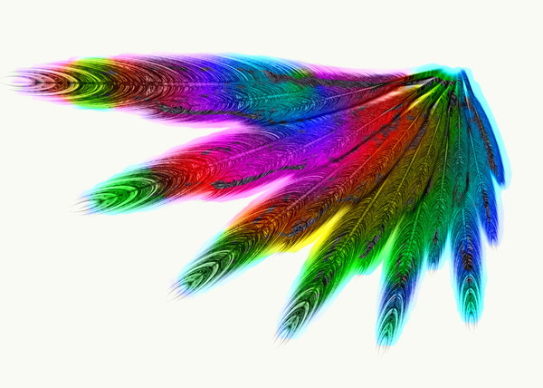 Rainbow Wing 2