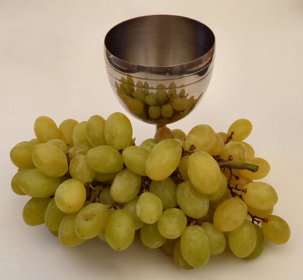 grapes & goblet2