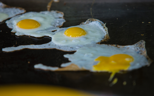 Scrambled eggs: Scrambled eggs