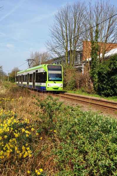 Tram track