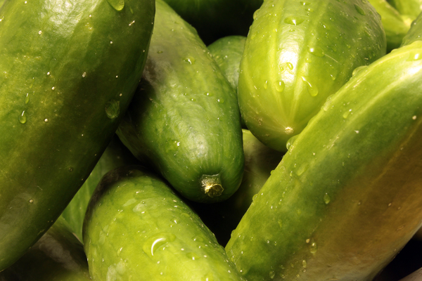 cucumbers: Pile of cucumbers.