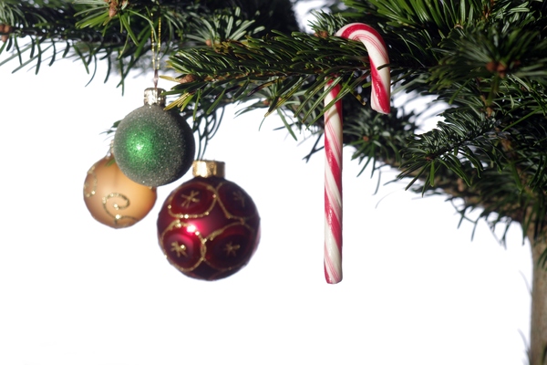 Christmas tree: Christmas tree with ornaments.