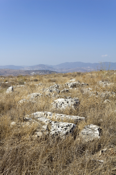 Israel landscape
