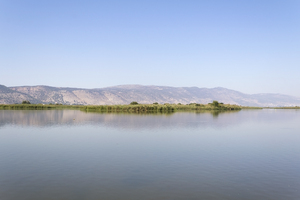 Israel lake: A lake in the Hula Valley, Israel.