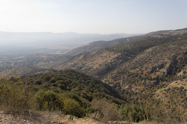 Golan Heights landscape