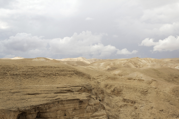 Israel desert