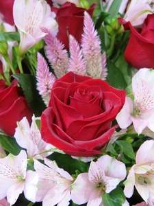 beautiful red rose: red rose flower mixture