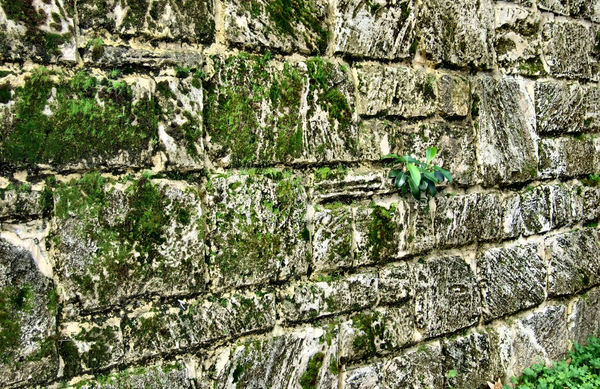 along the wall3A