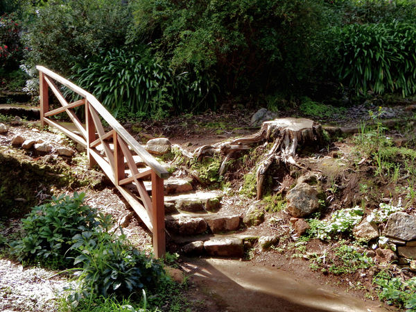 bushland park steps1