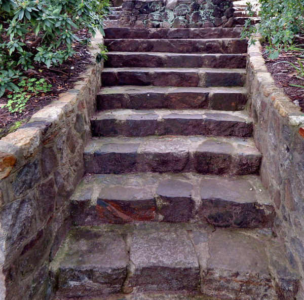 bushland park steps4: stonework steps in bushland park