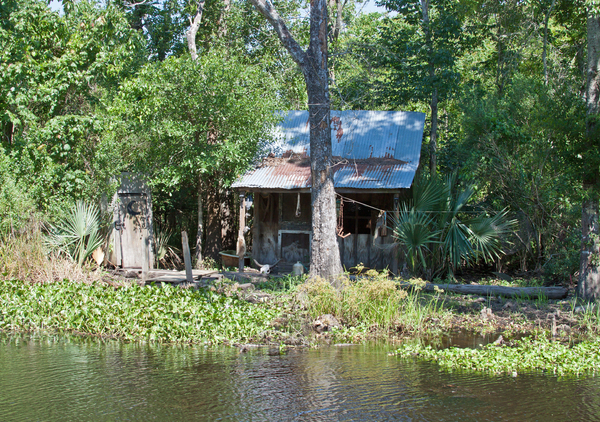 Swamp hut