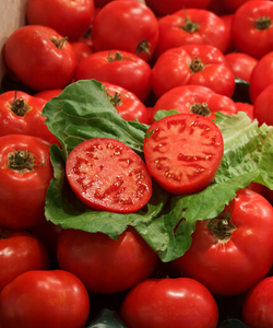 Market Tomatoes