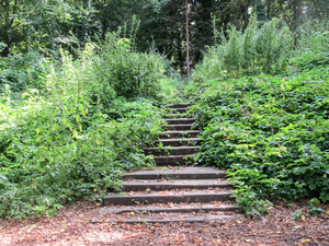 stairway to nowhere: stairway to nowhere