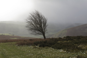 Winter landscape, Wales