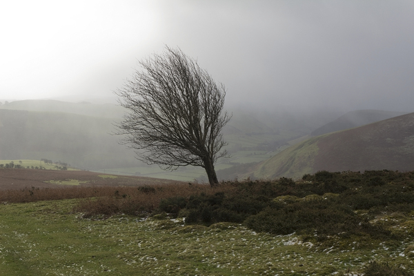 Winter landscape, Wales: December landscape in Powys, Wales.