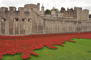 Poppies at Tower of London: Poppies at Tower of London to commemorate 100 years since WWI for each of the 876,000+ people killed.