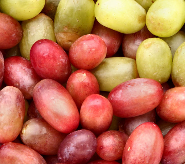 seedless grapes3