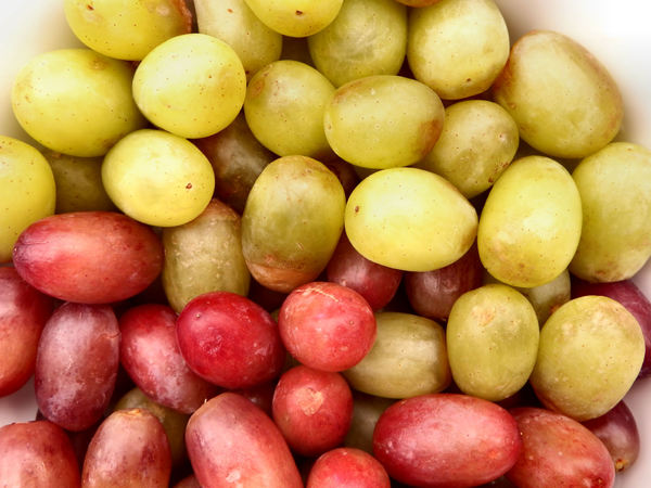 seedless grapes2