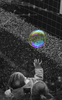 la caza de la burbuja