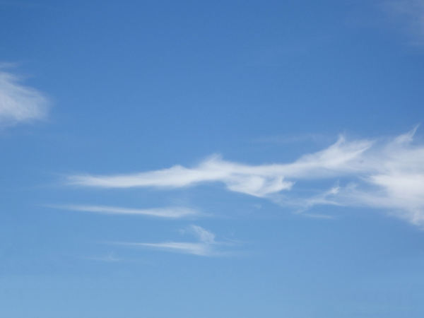 flying dragon cloud3