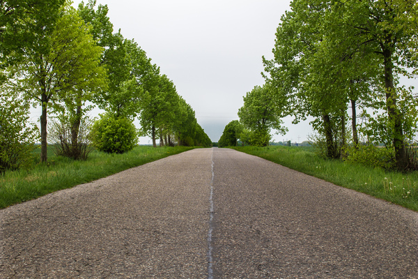Droga asfaltowa - asphalt road: Mało uczęszczana droga pomiędzy małymi wioskami.