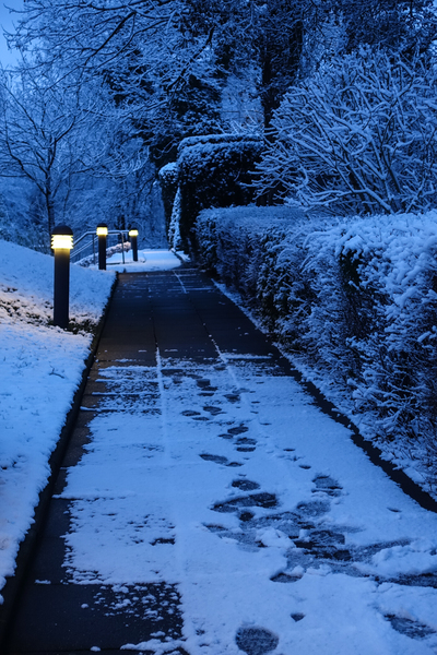 snowy footpath in morning ligh