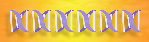DNA Graphic: Graphic of a DNA molecule.