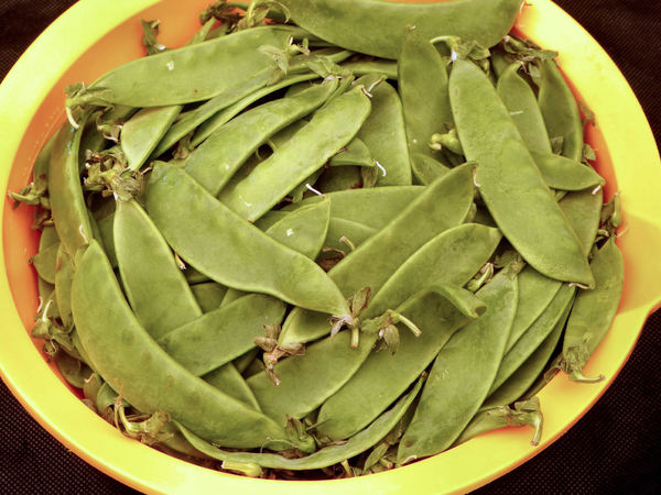 bowl of snow peas1