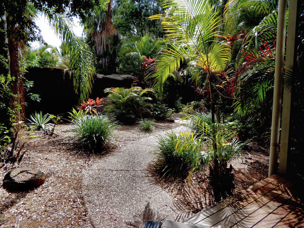 palm garden path1