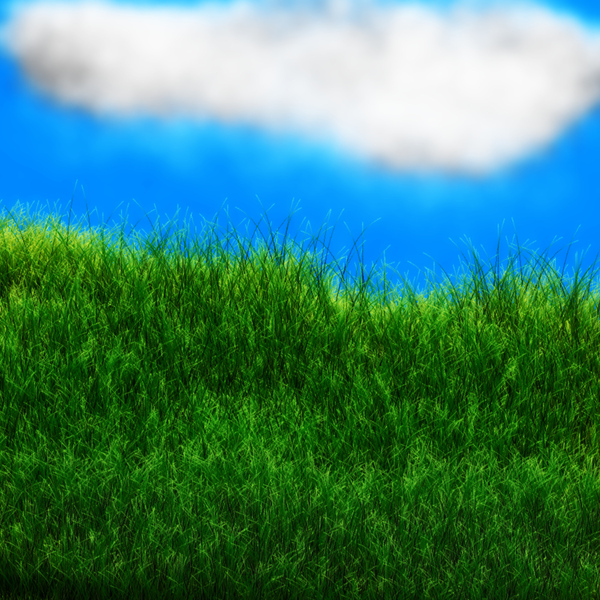 cloud and grass background