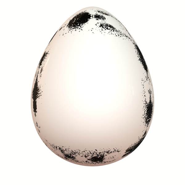 Grungy Frame Egg