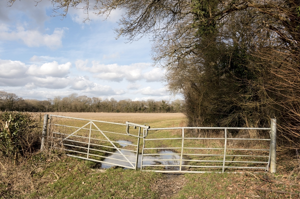 Ramshackle farm gate