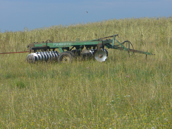 Argentina Pampas January 2015