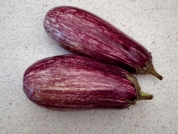 striped eggplant1