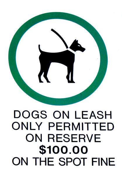 lead with a leash