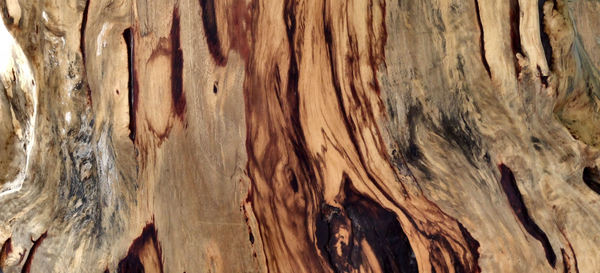 woodgrain textures2