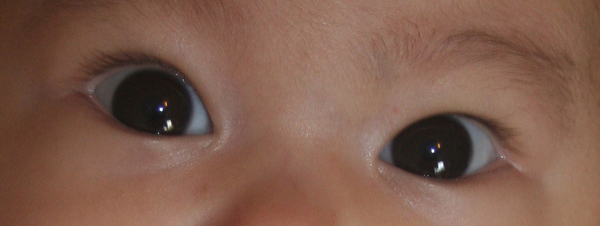 Asian Baby Eyes