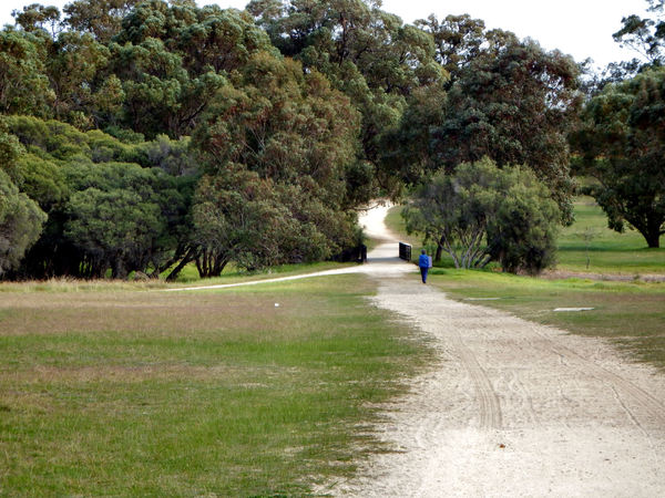 public park path3