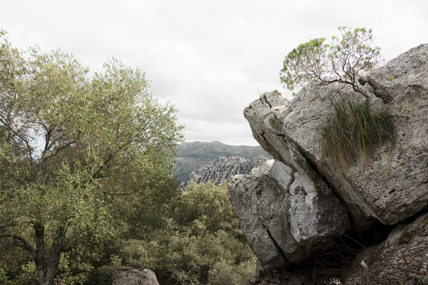 Limestone mountain landscape