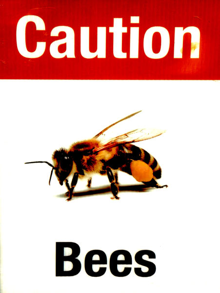 bee warning