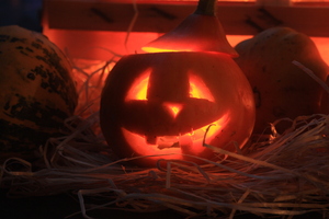 Halloween: Halloween pumpkin in the dark