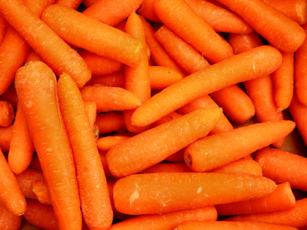fresh carrots1