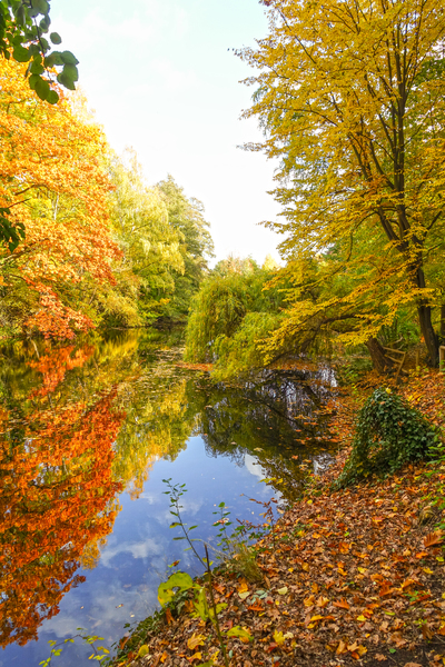 Hubertussee autumn scenery 2