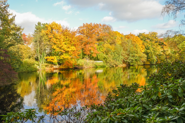 Hubertussee - tranquil autumn 