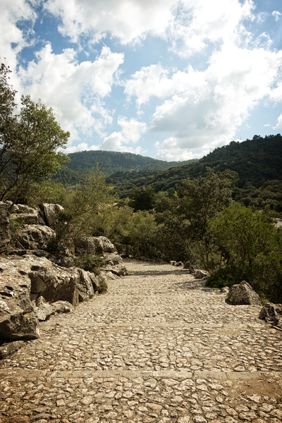 Pilgrims Path: A pilgrims path at Lluc, Majorca, Balearic Islands, Spain.
