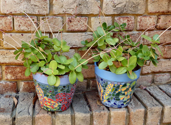 mosaic plant pots2