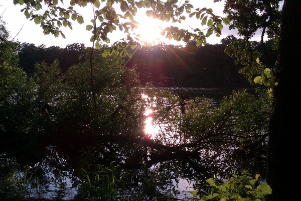 Sunset by the Forest Lake