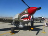 P-40 Warhawk 1